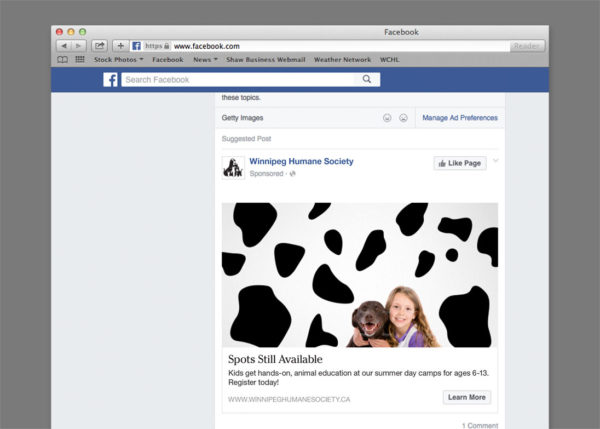 Winnipeg Humane Society facebook advertising