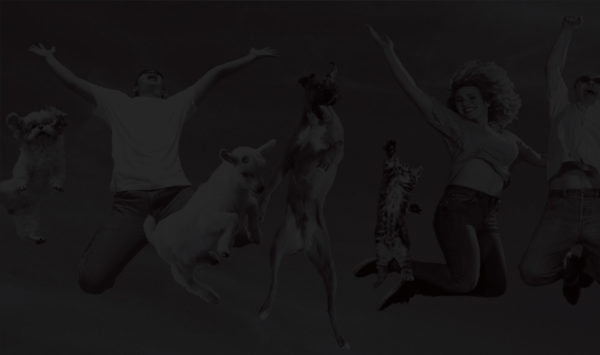 people and animals jumping up in celebration - stylized black and white image
